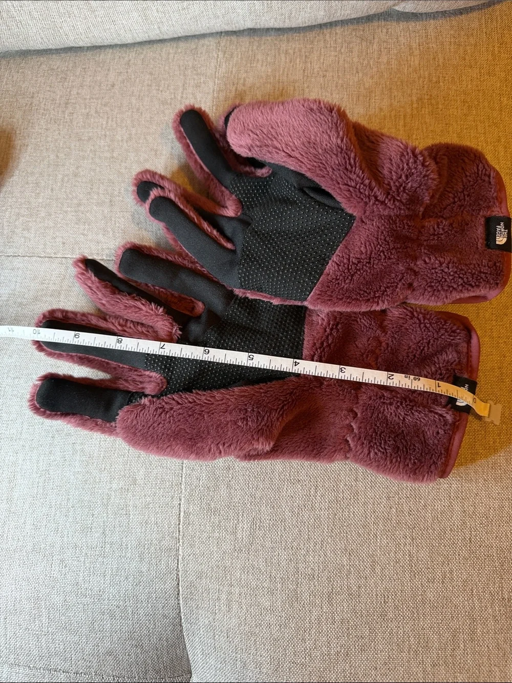 The northface gloves